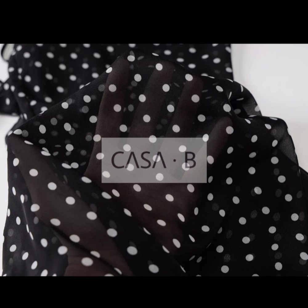 5⭐️ CASA B| Emerson Semi Sheer Polka Dot Maxi Dress - Picture 4 of 10